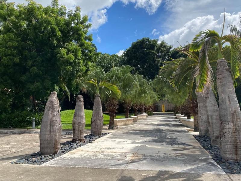 VENTA TERRENO PRIVADA MONTERREAL 261